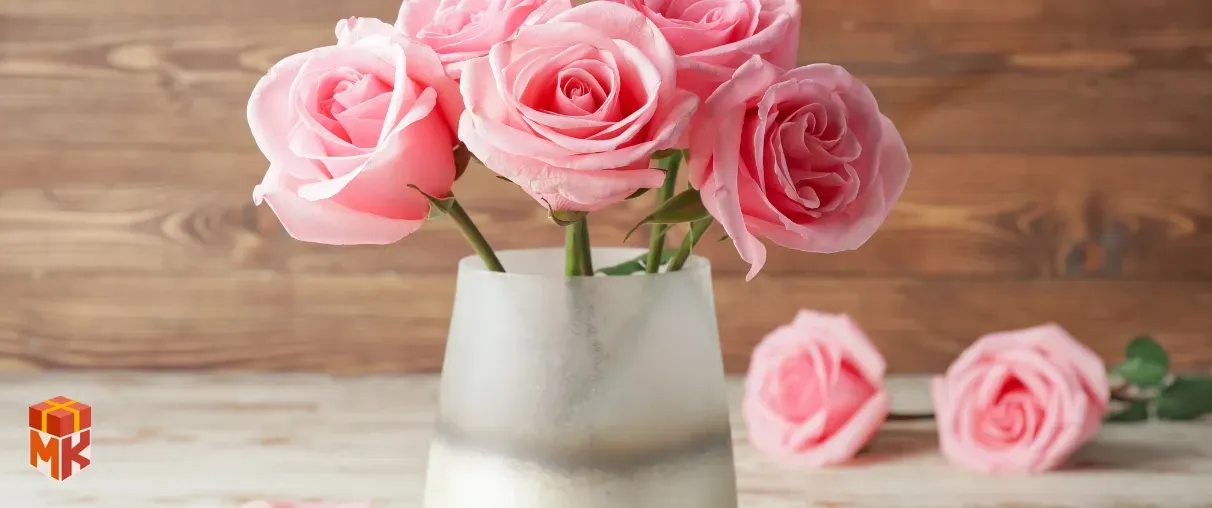 گلدان طبیعی برای هدیه