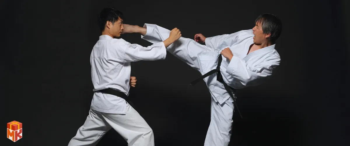 ماکت کلکسیونی یا اکشن فیگور