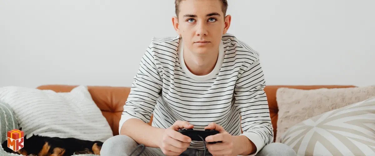 بازی‌های ویدیویی یا کنسول کوچک