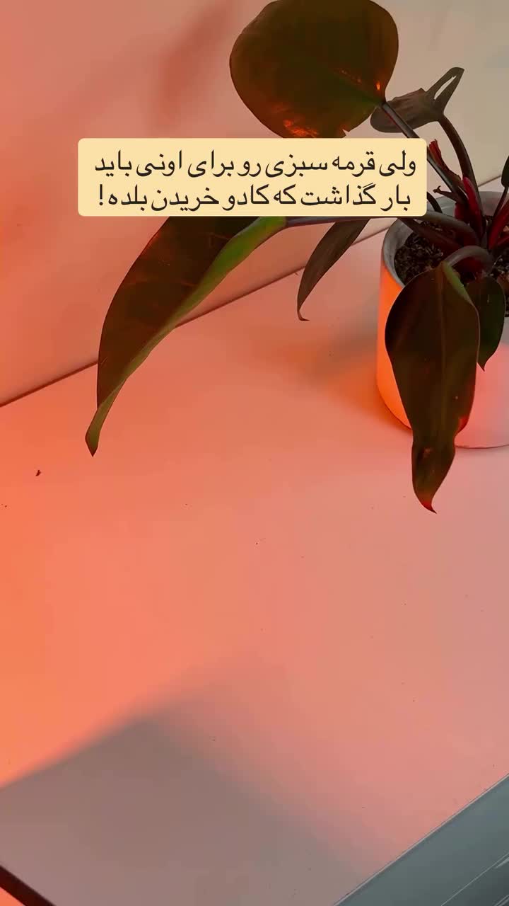 ویدیو محصول